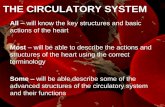 1. The Circulatory System - Gaynes · PDF file2 of 36 The Circulatory System •Research work-Use full sentences P12 and P14 1.Name 3 main parts of the circulatory system 2.How many