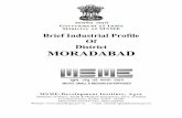 Brief Industrial Profile Of District MORADABAD - DCMSME DIPS Moradabad1.pdf · Moradabad is renowned for brass work and has carved a niche for itself in the handicraft industry through