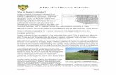 FAQs about Eastern Redcedar - Oklahoma · PDF fileFAQs about Eastern Redcedar What is Eastern redcedar? Eastern redcedar ( Juniperus virginiana ) is an evergreen tree species native