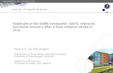 Substrate of the GABA transporter, GAT3, improves ...nordicstroke2017.org/images/presentations/Thursday/09451000-S08.2... · Substrate of the GABA transporter, GAT3, improves functional