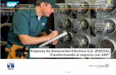 Empresa de Generación Eléctrica S.A. (EGESA ... Historia... · administrativos eran mayormente manuales y que estaban sujetos a errores y duplicaciones constantes. ... SAP FI es