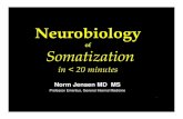 of Somatization - University Of  · PDF file– Neurobiology of somatization Attitudinal – ↑ interest & awareness – ↑ compassion. QUIZ: ... Pain disorders