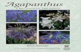 Agapanthus: A REVISION OF THE GENUS - e … - A Revision of... · Agapanthus : a revision of the genus / Wim Snoeijer. ... Chapter 3. Taxonomy and ... Nootdorp; Martin Fontein, Haarlem;
