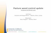 Pasture weed control update - UCCE Tehama Countycetehama.ucanr.edu/files/188388.pdf · Pasture weed control update. ... •Slender aster is an annual that must reseed itself for the
