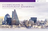Corporate & Investment BankIng - Natixis CIBcib.natixis.com/Home/Content/pdf/brochure-bgc-en.pdf · corporate & investment Banking advises companies, ... advising them and arranging