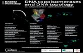 DNA topoisomerases and DNA topology - EMBOmeetings.embo.org/files/posters/17-topisomerase.pdf · DNA topoisomerases and DNA topology 17 ... Nick Gilbert University of Edinburgh, UK