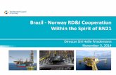 Brazil - Norway RD&I Cooperation Within the Spirit of BN21 · PDF file04.09.2014 · Director Siri Helle Friedemann . November 3, 2014 . Brazil - Norway RD&I Cooperation Within the