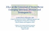 Zika: at the Crossroad of Vector Borne Emerging Infectious ... · PDF fileZika: at the Crossroad of Vector Borne Emerging Infectious Diseases and Teratogenicity Gredia Huerta-Montañez,