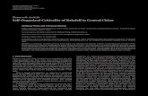 Research Article Self ...downloads.hindawi.com/journals/amete/2012/203682.pdf · Research Article Self-OrganizedCriticalityofRainfallinCentralChina ... Siva Kumar found that the ...