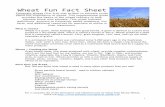 Wheat Fun Fact Guide - KFB Wheat is a grain , ... Resources include information for buyers, processors, producers, consumers, as well ... Wheat Fun Fact Guide ...