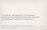 Therapeutic Management of Hemiplegia: Contemporary ... · PDF fileHemiHelp Conference ~ November 2013 Therapeutic Management of Hemiplegia: Contemporary Clinical Practice from a Bobath