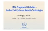 Chaitanyamoy Ganguly Head Nuclear Fuel Cycle and · PDF fileChaitanyamoy Ganguly Head Nuclear Fuel Cycle and Materials Section. ... Spent Fuel Management (SFM) from Nuclear Power Plants.