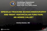 SPECKLE-TRACKING ECHOCARDIOGRAPHY AND RIGHT VENTRICULAR ... · PDF fileSPECKLE-TRACKING ECHOCARDIOGRAPHY AND RIGHT VENTRICULAR FUNCTION: AN ADDED VALUE? Denisa Muraru, MD Cardiology