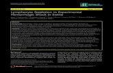 RESEARCH Open Access Lymphocyte Depletion in Experimental Hemorrhagic ... · PDF fileLymphocyte Depletion in Experimental Hemorrhagic Shock in Swine Jason S Hawksworth1,2, Christopher