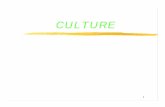 Culture - Georgia State University - Georgia State Universityqmdkdl/ib871/culture.pdf · 5 What is Culture? z … provides members with images of their basic concerns, principles,