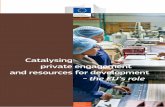 Catalysing private engagement and resources for  · PDF fileCatalysing private engagement and resources for development ... Neven Mimica European ... creation of jobs in micro,