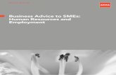 Business Advice to SMEs: Human Resources and Employment · PDF fileBusiness Advice to SMEs: Human Resources and Employment Professor Robin Jarvis Head of SME Affairs, ACCA and Professor