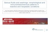 Serous fluids and washings: morphological and immunohistochemical ... · PDF fileSerous fluids and washings: morphological and immunohistochemical patterns in reactive and neoplastic