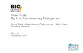 Case Study: Big Lots Store Inventory Managementseamframework.org/service/File/5823.pdf · Case Study: Big Lots Store Inventory Management Kunal Bajaj, Mark Hanes, Chris Henson, Keith