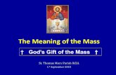 The Meaning of the Mass - stmparish.com. Q3. The Meaning of the Mass... · The Meaning of the Mass St. Thomas More Parish RCIA 17 September 2015 ... • Holy Sacrifice of the Mass,