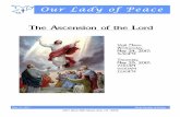 The Ascension of the Lord - Our Lady of Peace · PDF fileThe Ascension of the Lord . OUR LADY OF PEACE CHURCH ERIE, PA SANCTUARY LAMP - The lamp is burning this week in memory of John,