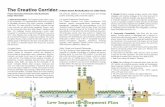 Creative Corridor Presentation - Downtown Little · PDF fileThe Creative Corridor introduces shared street ... New buildings will incorporate green roofs, ... three-day charrette with