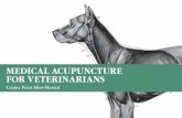 MEDICAL ACUPUNCTURE FOR VETERINARIANS - c.ymcdn.com/sites/ · PDF file3 . Point Name & Location Relevant Anatomy Indications & Point Combinations LU 1 (Zhong Fu, “Central Treasury”)