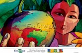 Embrapa institucional ingls -    Brazilian Agriculture Experiences Embrapa in Central America  The Caribbean Past / Present / Future Embrapa  Public-Private Partnerships