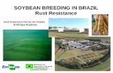 Soybean Breeding in Brazil - Plant Management  · PDF fileSOYBEAN BREEDING IN BRAZIL Rust Resistance José Francisco Ferraz de Toledo Embrapa Soybean