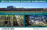 2016 Sonoma County Indicatorsedb.sonoma-county.org/documents/sotc_2016/2016... · Executive Summary January, 2016 The Sonoma County Economic Development Board (EDB) is pleased to