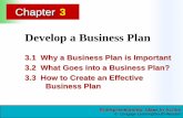 Develop a Business Plan - Mosinee School District 03.pdf · Develop a Business Plan 3.1 Why a Business Plan is Important 3.2 What Goes into a Business Plan? ... Demonstrate skills