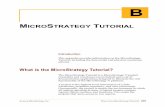 What is the MicroStrategy Tutorial? - tunweb.teradata.wstunweb.teradata.ws/tunstudent/DatabaseDescriptions/microstrategy/... · What is the MicroStrategy Tutorial? The MicroStrategy