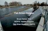 Fish Screen Designs - PNWS-AWWA P… · •Early conceptual design development ... –Uniform flow distribution = Uniform Va ... Main Criteria for Cleaning Systems