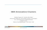 SBA Innovation Clusters - Defense Technical Information · PDF filePrograms and services to help you start, grow and succeed U.S. Small Business Administration Your Small Business