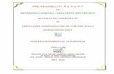 BROWNFIELD AMMONIA / UREA FERTILIZER · PDF fileProjects & Development India Limited, Sindri 1 of 47 Feasibility report for Brownfield Ammonia/ Urea Project at Gorakhpur (UP) 1.0 EXECUTIVE