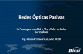 Redes Ópticas Pasivas - bicsi.org · PDF fileIngeniero de Telecomunicaciones con Maestria en Ingeniería de Software por la Universidad Tecnológica ... Bolivia, Paraguay y ... (madre