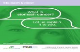 What is stomach cancer - ESMO · PDF fileWhat is stomach cancer? Let us explain it to you. Stomach Cancer ... gastritis, metaplasia and dysplasia) that could, but do not systematically