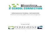 ORGANIZATIONAL BEHAVIOR - Peregrine  · PDF fileassignments and classroom activities. ... Organizational Behavior & Human Resource Management ... Organizational Culture)