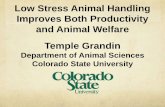 Department of Animal Sciences Colorado State University · PDF fileLow Stress Animal Handling Improves Both Productivity and Animal Welfare Temple Grandin Department of Animal Sciences