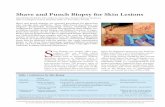 Shave and Punch Biopsy for Skin Lesions - aafp.org · PDF fileNovember 1, 2011 Volume 84, Number 9   American Family Physician 995 Shave and Punch Biopsy for Skin Lesions