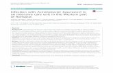 Infection with Acinetobacter baumannii in an intensive ... · PDF fileInfection with Acinetobacter baumannii in an intensive care ... Victor Babes” Timisoara, ... Infection with