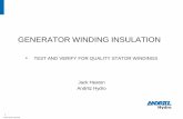 GENERATOR WINDING INSULATION -  · PDF filegenerator •Testing during manufacturing ... that the coil or bar was ... Stator Insulation Tests Caution when doing HV test. Read: