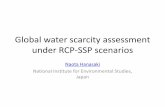 Global water scarcity assessment under RCP-SSP · PDF fileGlobal water scarcity assessment under RCP-SSP scenarios. ... • Assessment of CC impact and adaptation on water resources