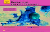 CHAPTER 5 HOMEOSTASIS AND CELL TRANSPORT · PDF fileHOMEOSTASIS AND CELL TRANSPORT 97 PASSIVETRANSPORT Cell membranes help organisms maintain homeostasis by controlling what substances