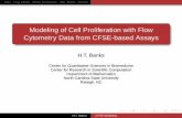 Modeling of Cell Proliferation with Flow Cytometry Data from CFSE · PDF fileData Frag. Model Model Summaries Stat. Model Results Modeling of Cell Proliferation with Flow Cytometry