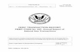 FERC TRANSACTION REPORT FERC FORM No. 552: · PDF fileFERC FORM No. 552 (R2.3) i FERC TRANSACTION REPORT FERC FORM No. 552: Annual Report of Natural Gas Transactions These reports