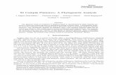 El Compas Flamenco: A Phylogenetic Analysisarchive.bridgesmathart.org/2004/bridges2004-61.pdf · El Compas Flamenco: A Phylogenetic Analysis ... Finally, the directed swap distance