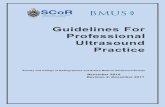Guidelines For Professional Ultrasound Practice - bmus.org · PDF file2.12.7 Rheumatology ultrasound examinations 101 2.13 Elastography 111 2.14 Contrast Enhanced Ultrasound Examinations