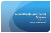 Anaesthesia and Renal Disease - · PDF fileAnaesthesia and Renal Disease Dr Cavin Gray Sheffield Teaching Hospitals Occurrence ... Compared sevo anaesthesia in CKD patients and patients
