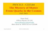 The Mystery of Matter: The Course - insti.physics.sunysb.eduinsti.physics.sunysb.edu/itp/lectures/05-Fall/PHY313/MOM-1.pdf · The Mystery of Matter: ... the deceleration, not the